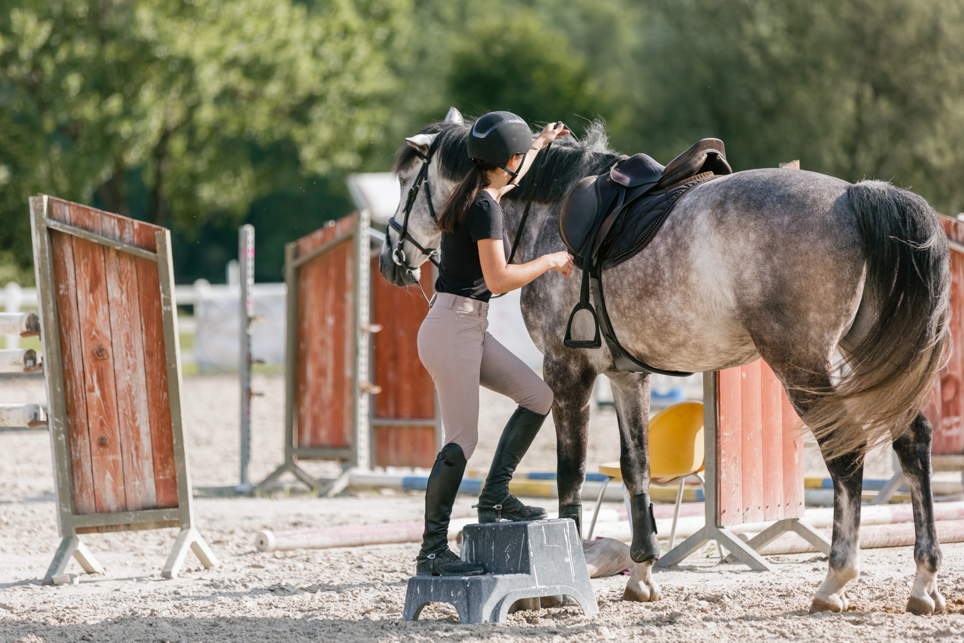 Jacaranda Glossodia Hawkesbury Horse Riding Activities